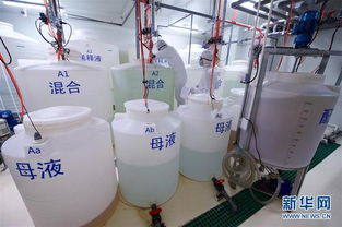 探訪中科三安植物工廠 機(jī)械設(shè)備的先進(jìn)科技之旅